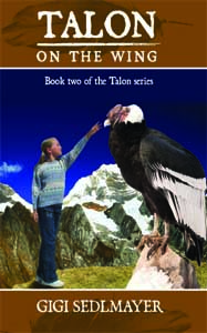 Talon On the Wing cover website